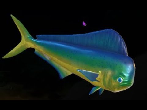 Видео: Прохожу Feed And Grow: Fish. Играю за Махи Махи.