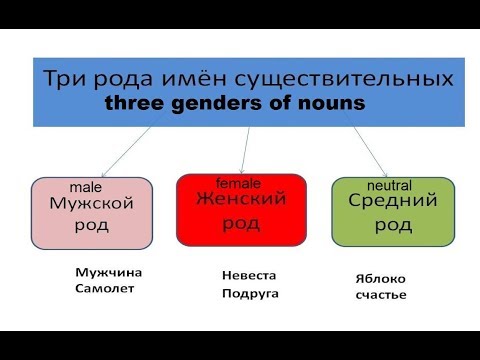 Видео: № 27  Грамматика:  МУЖСКОЙ, ЖЕНСКИЙ И СРЕДНИЙ РОД / русский язык