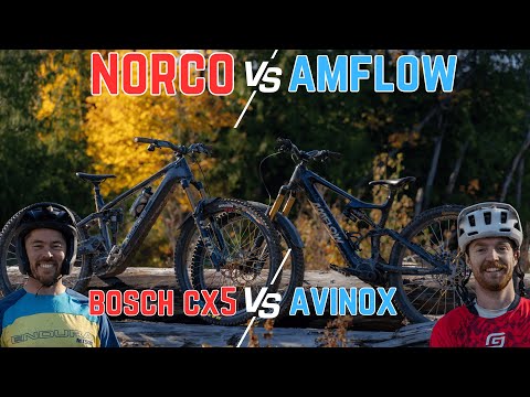 Видео: Norco с Bosch CX5 против Amflow с Avinox