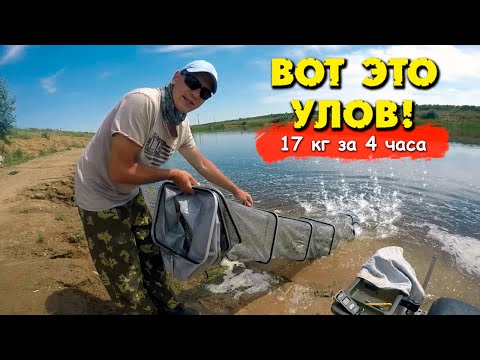 Видео: Ловля леща на маховую удочку на реке в проводку | Поплавочная снасть