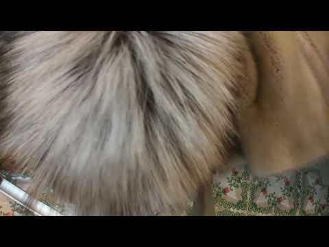 Видео: Как освежить цвет шубы?