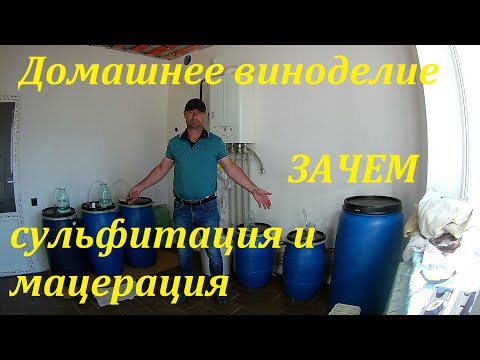 Видео: Красное сухое ВИНО.сульфитация и мацерация на ЧКД.