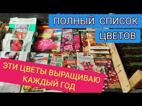 Видео: ПОСЕЙТЕ ЭТИ ЦВЕТЫ СЕЙЧАС и они зацветут мае, ВСЕГДА ВЫРАЩИВАЮ ЭТИ ЦВЕТЫ