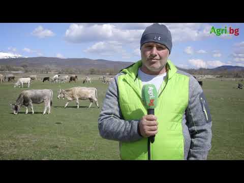Видео: Никола Кулов: Балканът иска автохтонни породи