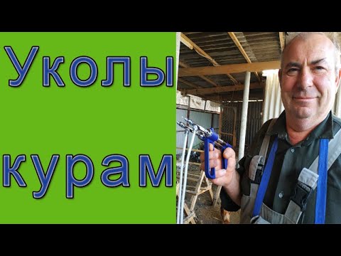 Видео: Как я ВАКЦИНИРУЮ птицу | Пошаговое руководство