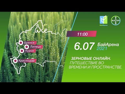 Видео: Зерновые Онлайн. Путешествие во времени и пространстве