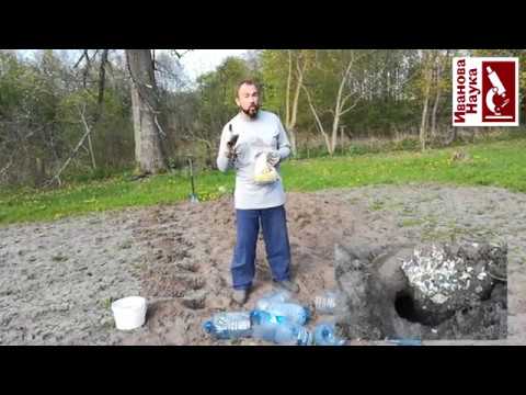 Видео: Проще простого! Посев кабачков "для чайников".