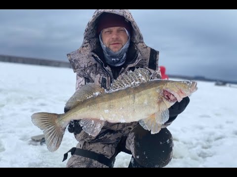 Видео: Рыбалка на судака. Кама. Воткинское вдхр