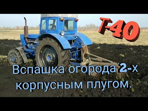 Видео: Трактор Т-40. Вспашка огорода 2-х корпусным плугом