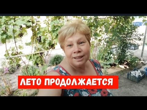 Видео: #850Лето продолжается/Станичная жизнь