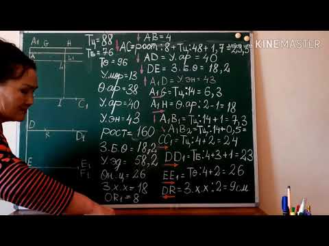 Видео: Энгэрийн эсгүүрийн зааварчилгаа  Выкройка женская блузка