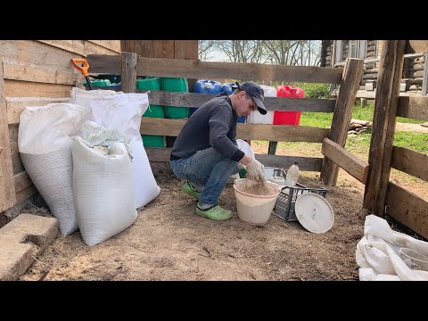 Видео: ПРАВИЛЬНОЕ КОРМЛЕНИЕ СВИНЕЙ. СОЗДАЁМ КОМБИКОРМ ВМЕСТЕ