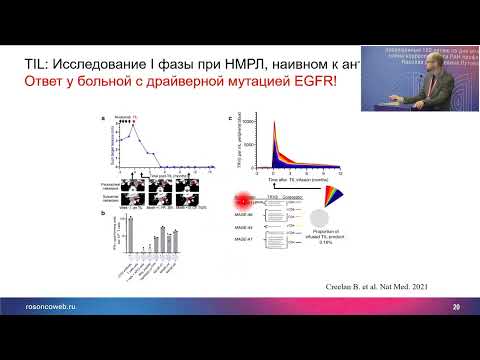 Видео: Клеточная терапия – перспективы и отечественный опыт