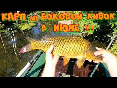Видео: РЫБАЛКА НА БОКОВОЙ КИВОК С ЛОДКИ ! ЛОВЛЯ ДИКОГО КАРПА  НА  РОЙКУ .