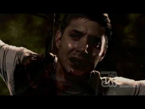 Видео: Крестоносец