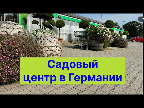 Видео: Посещение садового центра: стильный декор, предлагаемый ассортимент, композиции для яркой осени…