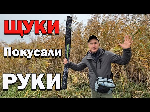 Видео: ЩУКА чи ОКУНЬ ? ХТО ? клюне на осінній річці
