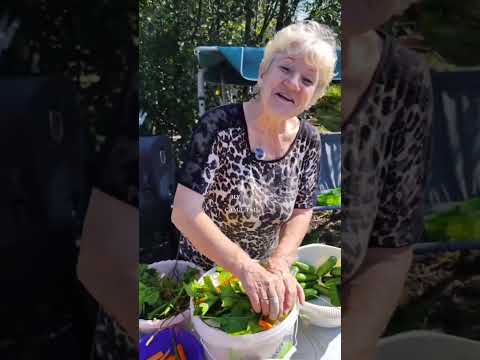 Видео: Соленья из ассорти овощей по-армянски  #соленья #соленьяназиму #соленьяпоармянски #заготовкиназиму