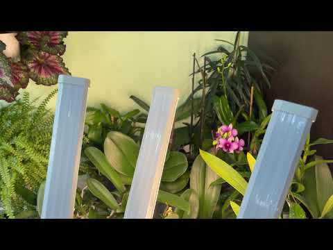 Видео: Временный приют😂. Оборудовала местечко