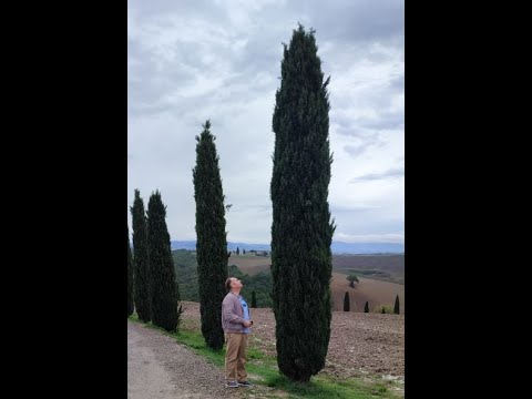 Видео: Итальянские каникулы. Тоскана. (октябрь 2024) Часть1.