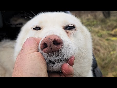Видео: Пошли на девятый год 