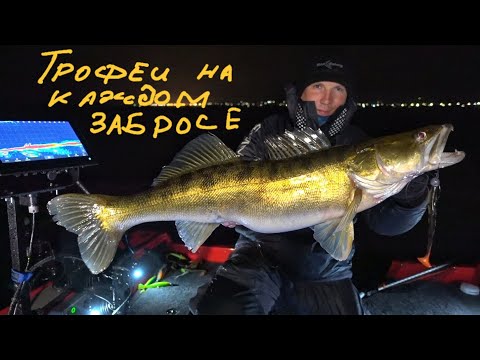Видео: Попали на раздачу больших судаков.
