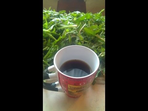 Видео: Мой кофе из корня одуванчика: заготовка, сушка, напиток