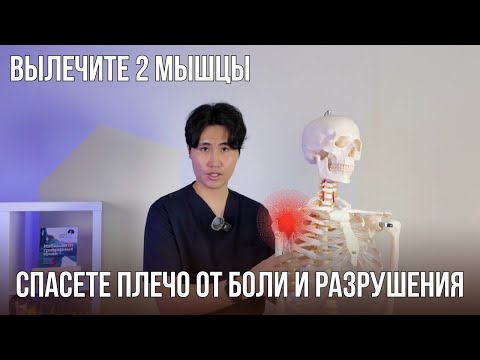Видео: Вылечите всего ДВЕ МЫШЦЫ. Спасете ПЛЕЧО от боли и разрушения.