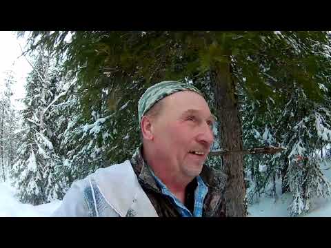 Видео: Проверка путикакуница в ящике,ка2 не рулят опять у меня.