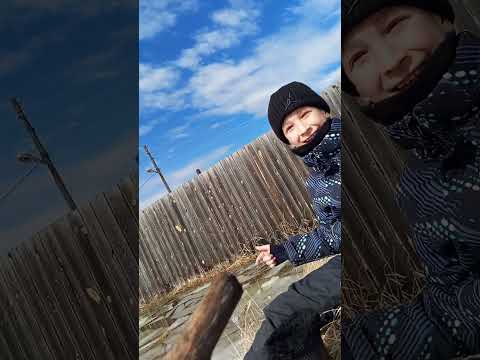 Видео: Ломаем лужи 3 часть Пашка высыхает