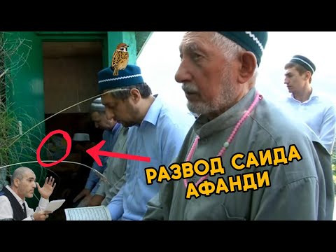Видео: Суфисты общаются с джиннами | Развод Саида афанди и Колдунов