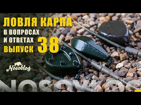 Видео: Карпфишинг в вопросах и ответах, выпуск 38, Колесников А.