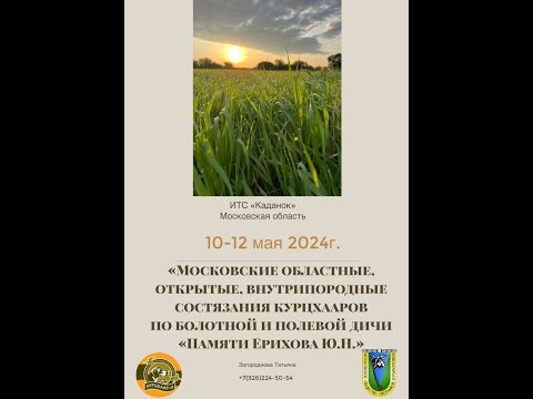 Видео: Московские областные внутрипородные состязания Курцхааров "Памяти Ерихова Ю.Н."