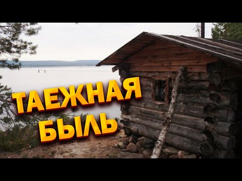 Видео: 💥/Таежная быль / Нежданный косолапый сосед  старого охотника- промысловика/