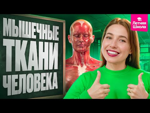 Видео: 4. Мышечные ткани человека | Летняя школа | ЕГЭ-2026 по биологии