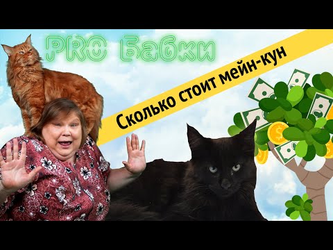 Видео: Сколько стоит мейн-кун | Адские бабки PRO