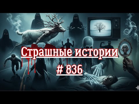 Видео: СТРАШНЫЕ ИСТОРИИ/ ЧАСТЬ 836/МИСТИКА/СТРАШНЫЕ ИСТОРИИ