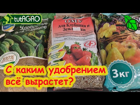 Видео: С ЭТИМИ УДОБРЕНИЯМИ МОЖНО ВЫРАСТИТЬ ЧТО УГОДНО! Полезный урожай без вреда для почвы.