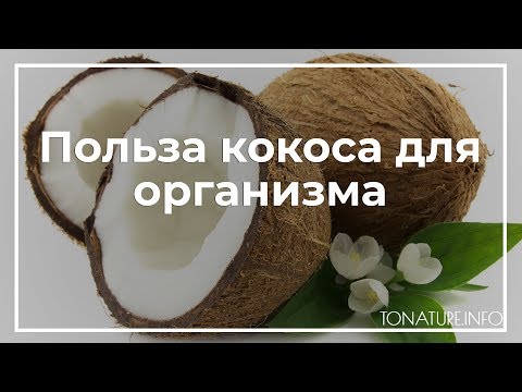 Видео: Польза кокоса для организма | toNature.Info