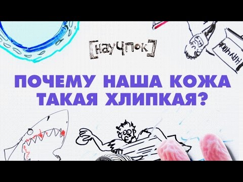 Видео: Почему наша кожа такая хлипкая?