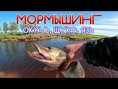 Видео: МОРМЫШИНГ - очень азартная рыбалка!