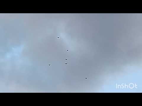 Видео: 25 октября 2025 г.