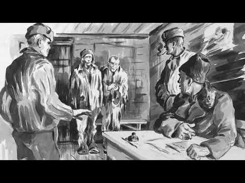 Видео: В лагере нет виноватых.Варлам Шаламов.