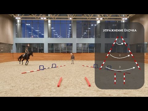 Видео: НОВОГОДНЕЕ УПРАЖНЕНИЕ - ЁЛОЧКА | Тренер Анна Шатунова | EquiCenter School Северный