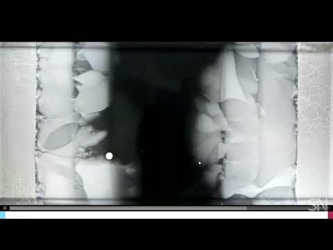 Видео: Антибиотикорезистентность