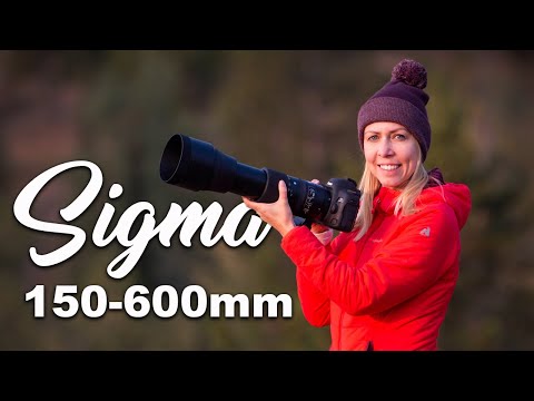 Видео: Sigma 150-600 мм ПЕРВЫЕ ВПЕЧАТЛЕНИЯ от фотосъемки дикой природы