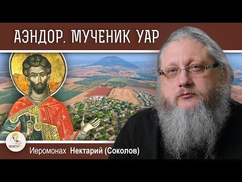 Видео: АЭНДОР. Отчаяние царя Саула, волшебница и мученик Уар.   Иеромонах Нектарий (Соколов)