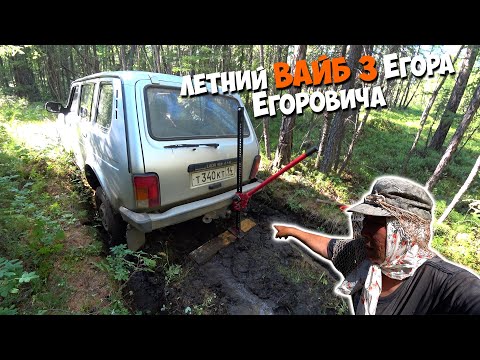 Видео: Летний ВАЙБ Егора Егоровича. Сенокос, рыбалка и ягоды. Часть 3
