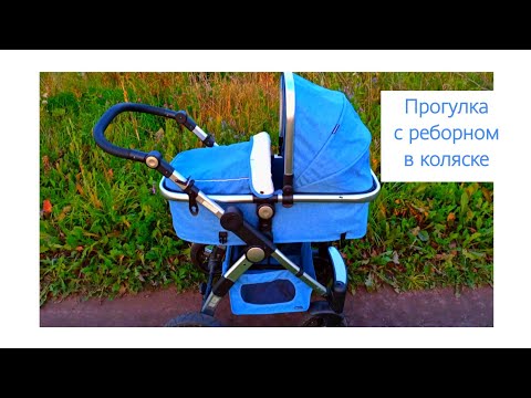 Видео: ПРОГУЛКА С РЕБОРНОМ В КОЛЯСКЕ 😇 ОБЗОР НА КОЛЯСКУ