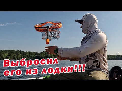 Видео: ЕСЛИ ИЩЕШЬ ТРОФЕЙНУЮ РЫБУ, НУЖЕН ХОРОШИЙ ПОДСАК! ПОИСК ТРОФЕЙНОГО СУДАКА!!!